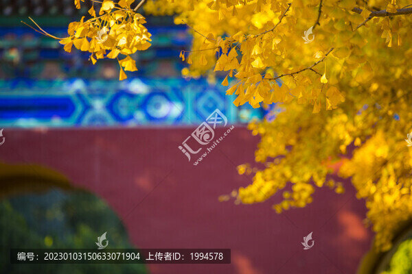 秋色