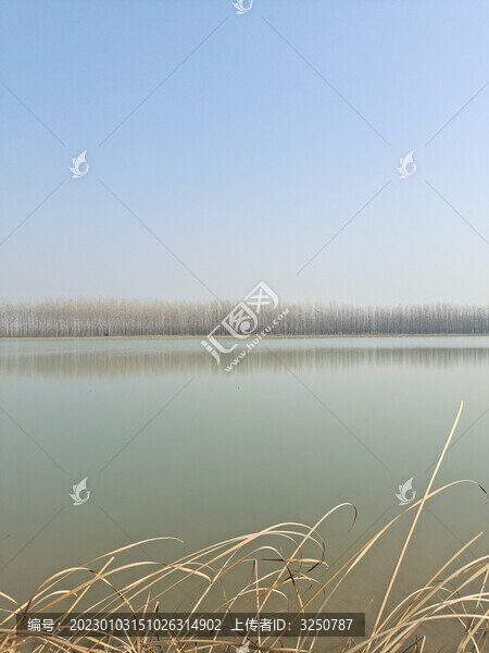 湖邊森林