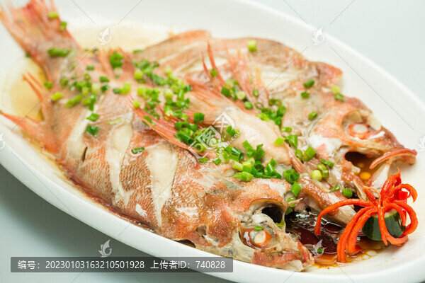 清蒸鱸魚