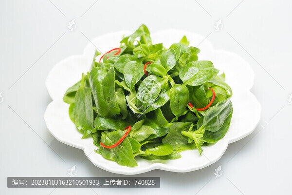 涼拌田七