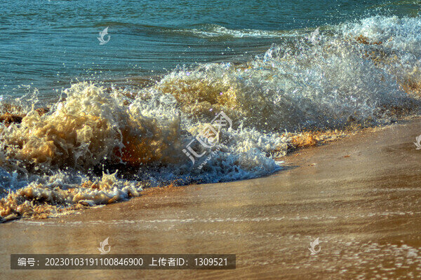 浪花