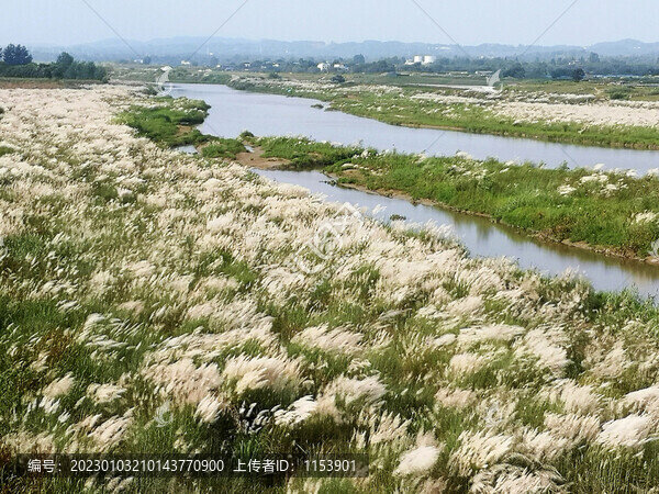 河流