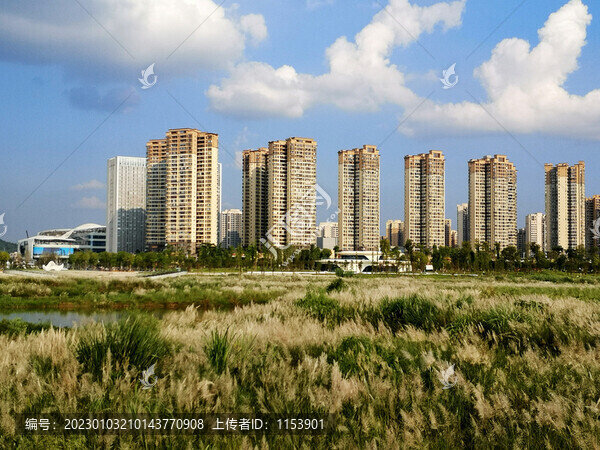 城市高樓