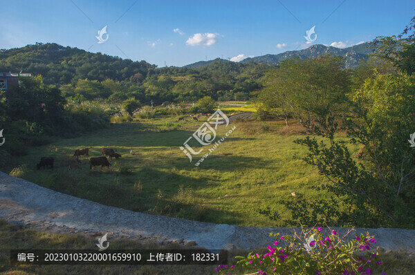 福建鄉(xiāng)村牧場