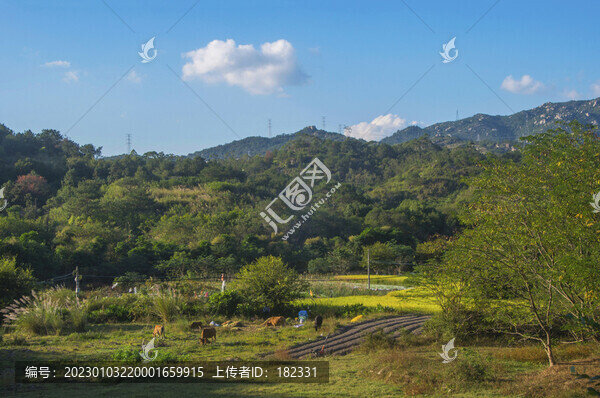 田園牧場(chǎng)