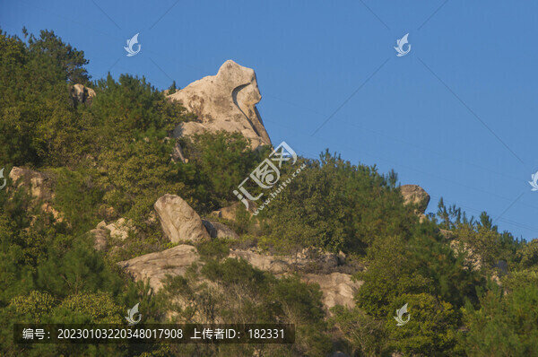 山坡斜地