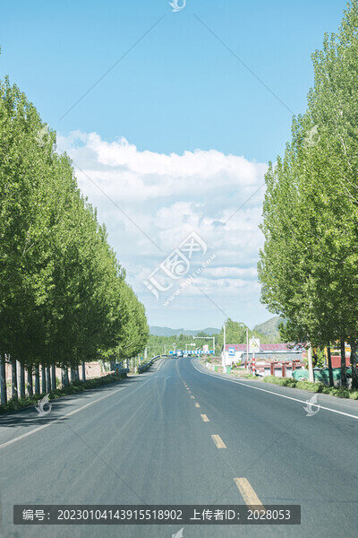 筆直的省道公路