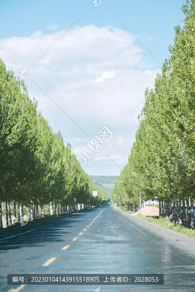 林蔭大道筆直公路