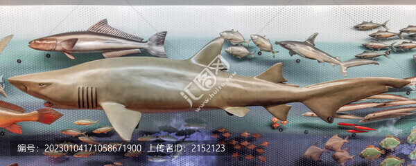 東海鯊魚模型