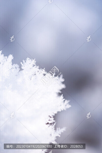 冬季室外冰晶雪花圖片