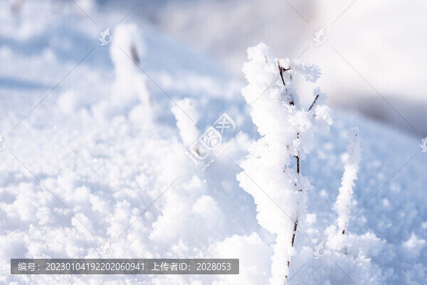 冬天純凈的戶外雪景