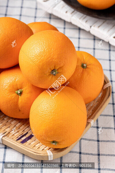 臍橙