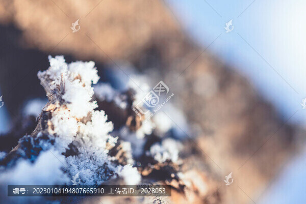 冬季戶外冰晶雪花背景