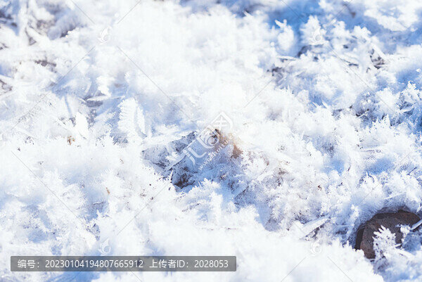 雪地冰晶特寫微距圖片