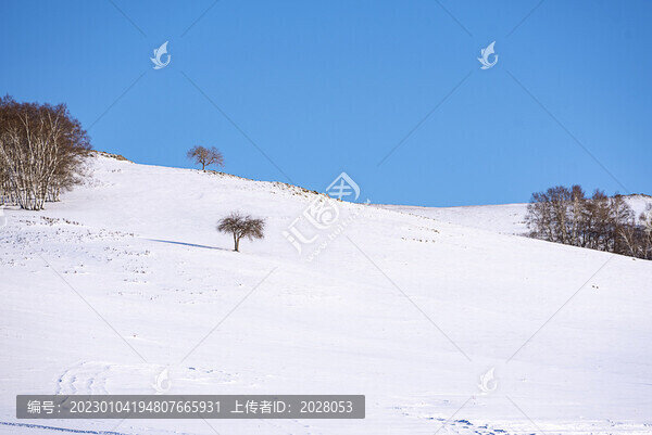 冬天的草原雪景