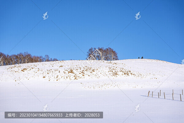 冬季戶外草原雪景