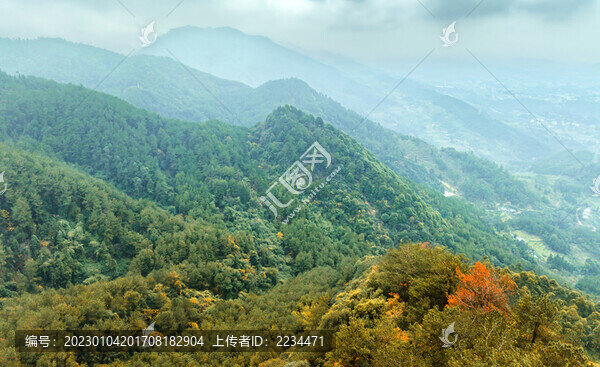 冬日風(fēng)光