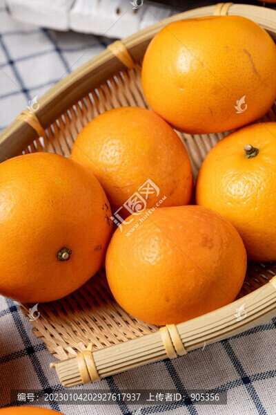 沃柑