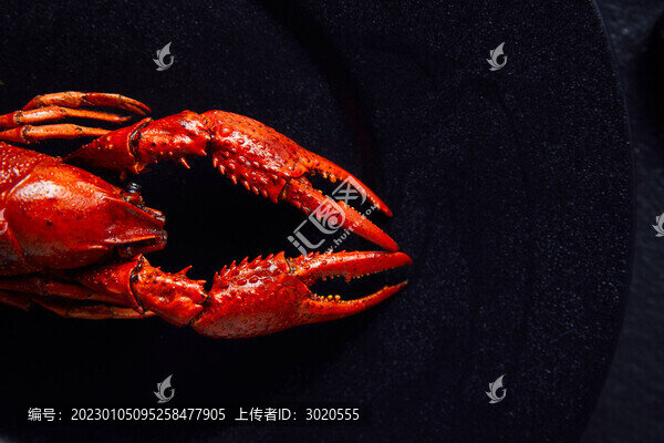 小龍蝦