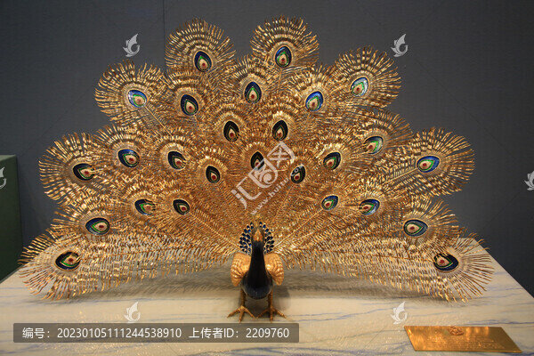 金孔雀