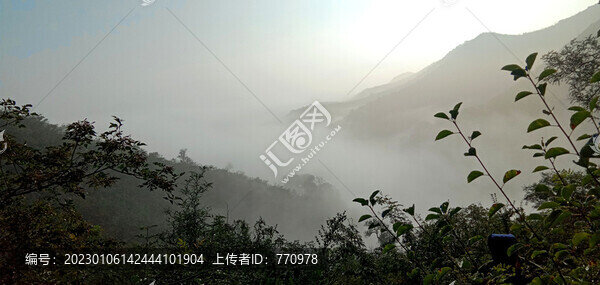 高山云霧