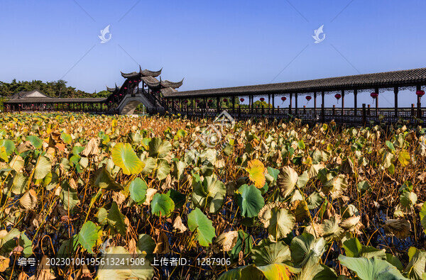 錦溪古鎮(zhèn)