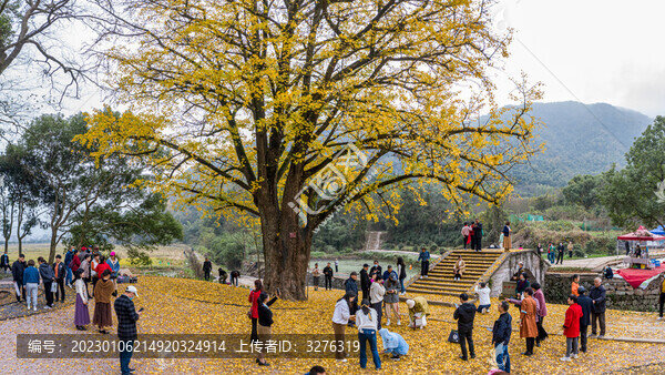 義烏金秋鄉(xiāng)村旅游觀光航拍