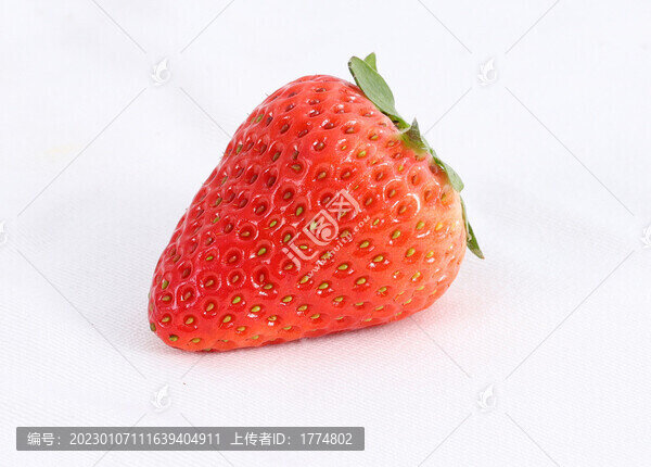 草莓
