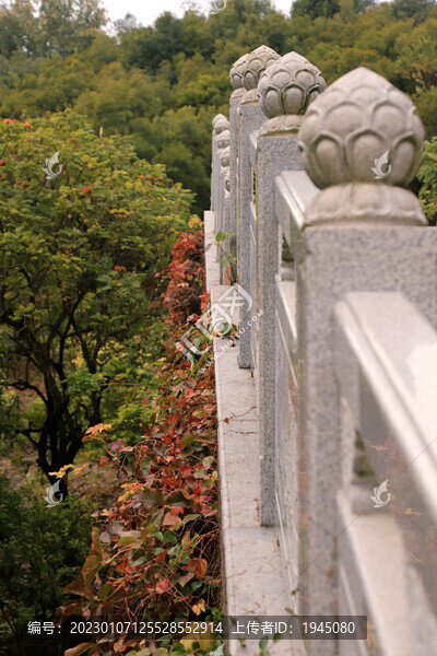 石欄蓮花柱頭