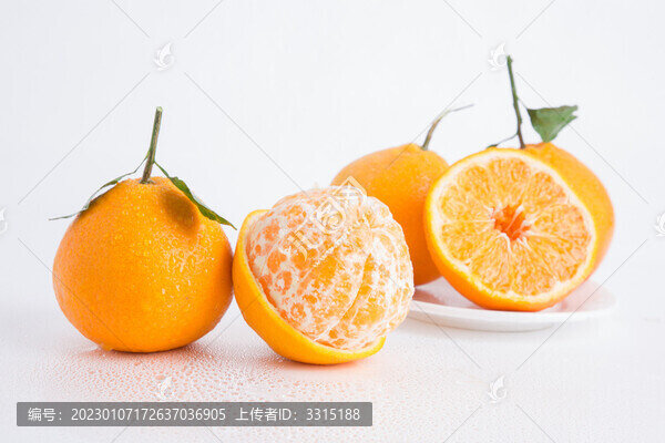 春見耙耙柑粑粑柑