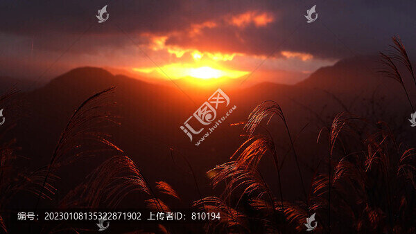 太陽升起朝氣蓬勃旭日東升