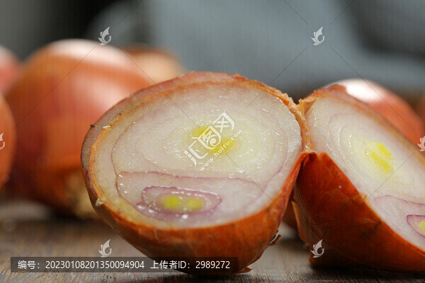 洋蔥