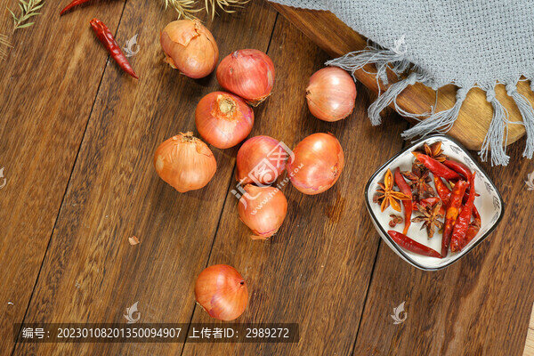 洋蔥