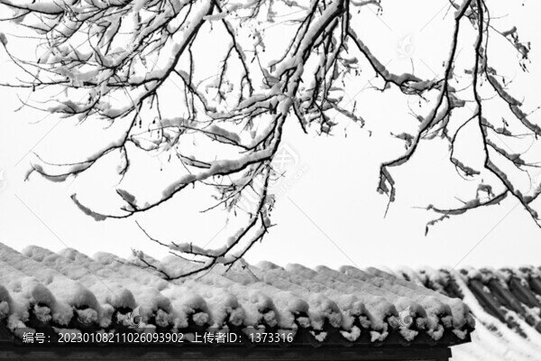 雪染園林