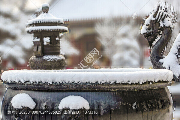 雪染園林