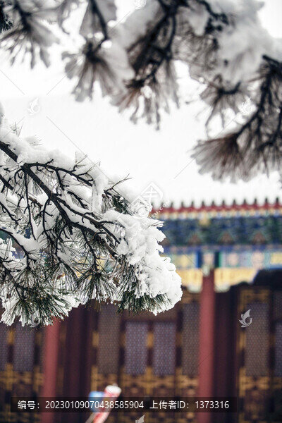 雪染園林
