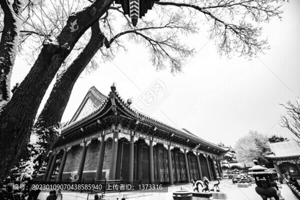 雪染園林
