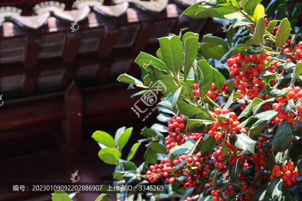 蘇州景色