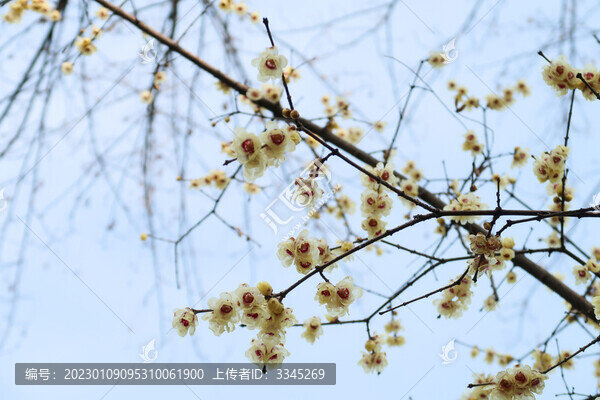 南京景色