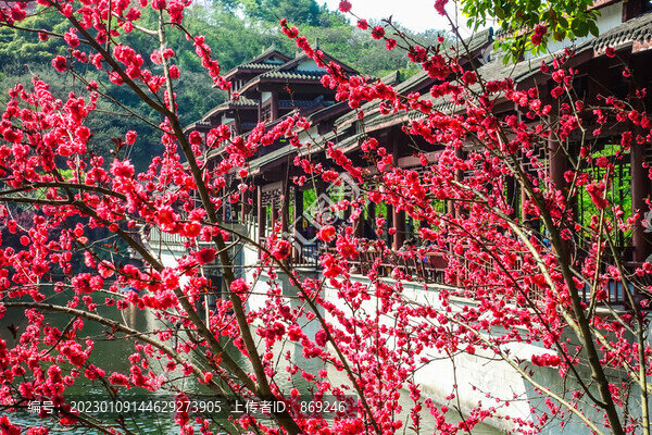 彩云湖濕地公園