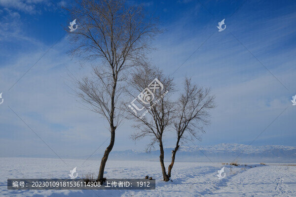 雪景
