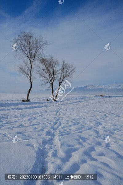 雪景