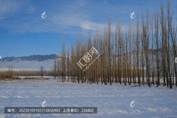 雪景