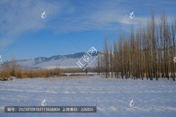 雪景