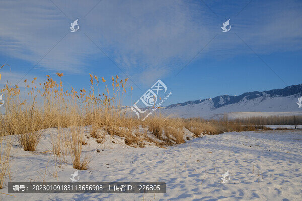 雪景