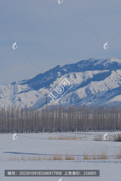 雪鄉(xiāng)風(fēng)景