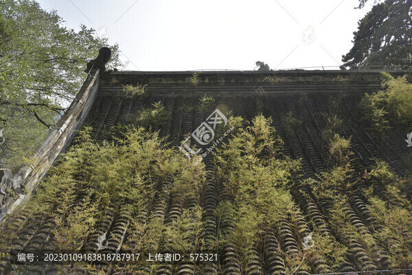 北京潭柘寺