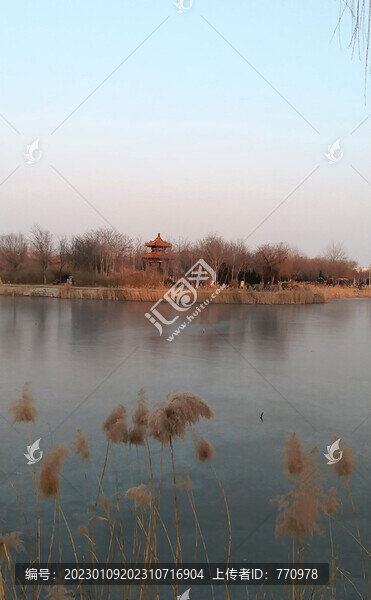 日湖公園