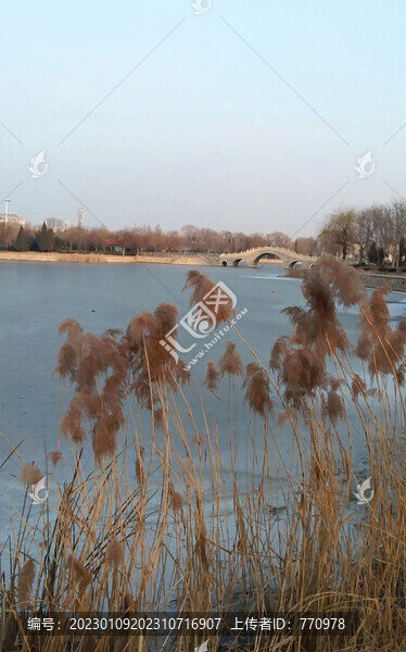 日湖公園