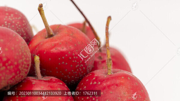 山楂